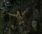 Tomb Raider: Underworld - Cobra von Solomann