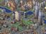 <strong>Sim City 3000: Deutschland</strong>
Das Update zur Städtebaumsimulation bringt diverse landestypische Gebäude und Szenarien mit sich. Neben rheinischen Fachwerkhäusern finden sich auch der Berliner Fernsehturm und der Frankfurter Römer in Maxis' Spiel wieder. Allerdings sehen die Städte auch nach dem Hinzufügen der neuen Gebäudetypen nicht wirklich deutsch aus.