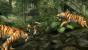 <strong>Tomb Raider: Underworld</strong>
Sollten Redakteure tunlichst vermeiden: die Ich-Form. Das letzte Mal als ich über Lara Croft sinnierte, brachte mir das den Horn des Monats ein (siehe ungünstig getroffenes Foto in PC Games Ausgabe 02/09). Damit das nicht wieder passiert, fasse ich mich kurz: In Tomb Raider: Underworld gibt es auch ein Dschungel-Level.
Größter Unterschied zum Dschungel-Camp: Laras Brüste werden nicht „durch die Mangel gedreht“ (Zitat <a class="posRel pe-4" href="http://www.rtl.de/tv/ibes.php)" target="_blank" rel="noopener " >RTL<span class="icon extLinkIcon posAbs"></span></a> 
