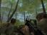 <strong>Vietcong</strong>
Als dem Kollegen Moers bereits im letzten Jahr diese Aufgabe übertragen wurde („<a href="http://www.pcgames.de/aid,628321/Ich_bin_ein_Star_holt_mich_hier_raus_-_Die_schoensten_Dschungelszenarien_in_Computerspielen/PC/Special/" target="_self" >Mach doch mal was zum Dschungel-Camp</a>“), hat er Vietcong vergessen. Das holen wir jetzt nach. Noch heute tummeln sich Tausende Taktik-Shooter-Fans auf den Mehrspieler-Servern von Vietcong, streifen durch den dichten Dschungel, immer auf der Suche nach dem nächsten Abschuss. Besonders interessant: Der kooperative Modus für bis zu 16 Spieler. Ziel ist, das eigene Team lebendig von A nach B zu bringen. Solisten werden vom Server gekickt.
Größte Gemeinsamkeit mit dem Dschungel-Camp: Der Schwächste fliegt.
