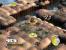 Flock!-Screenshot
