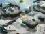 Flock!-Screenshot