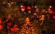 X-Blades: Screenshot aus dem Actionspiel.