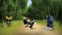 Screenshots aus Mini Ninjas. (11)