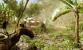 Der Dschungel aus <strong>Crysis</strong>. (3)