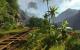Der Dschungel aus <strong>Crysis</strong>. (2)