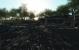 Screenshots aus der CryEngine 2-Mod FarCrysis.
