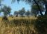 Screenshots aus der CryEngine 2-Mod FarCrysis.