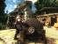 Risen Screenshot (1)