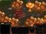 Starcraft: Brood War