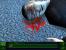 CSI: Mord in 3 Dimensionen (2006, in Kooperation mit Ubisoft)
Wer die Serie kennt, weiß, was im Spiel wartet: Tatorte untersuchen, Fingerabdrücke sammeln, Beweismaterial eintüten. Am Ende landet alles im Labor, bis feststeht, dass ohnehin immer der dritte Verdächtige der Schuldige ist. <a href="http://www.pcgames.de/aid,472363/CSI-Mord-in-3-Dimensionen/PC/Test/" target="_self" >Nicht so prall</a>. Mit dabei: Eine Anspielung auf die Einstellung von Sam & Max: Freelance Police. Immerhin.

