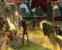 Zeno Clash-Screenshot. (14)