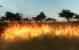 Screenshots aus der CryEngine 2-Mod FarCrysis.