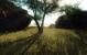 Screenshots aus der CryEngine 2-Mod FarCrysis.