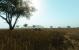 Screenshots aus der CryEngine 2-Mod FarCrysis.