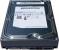 Platz 01: Samsung SpinPoint F1 1000GB
