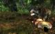 Risen-Screenshot (10)