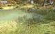 Community-Vorschlag: <strong>Arma 2</strong> ist eine Kriegssimulation. Wie in jeder anderen gibt es Plätze für Scharfschützen, um sich zu verstecken. Bohemia Interactive stattete den Ego-Shooter dafür unter anderem mit sehr viel eindrucksvoller Vegetation aus.