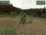 Brandneue, selbstgemachte Screenshots zu ArmA 2. Die High-Res-Variante sehen Sie, wenn Sie ins Bild klicken. (21)