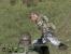 Brandneue, selbstgemachte Screenshots zu ArmA 2. Die High-Res-Variante sehen Sie, wenn Sie ins Bild klicken. (41)