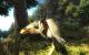 Risen-Screenshot (7)