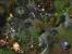 Die neuesten Screenshots aus Starcraft 2. (11)