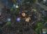 Screenshots aus Starcraft 2: Wings of Liberty. (14)