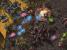 Die neuesten Screenshots aus Starcraft 2. (10)