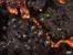 Screenshots und Concepts aus Starcraft 2.