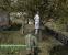 ArmA 2 (Armed Assault 2) - Screenshot (20)