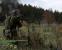 Die wunderschöne Welt von Arma 2 hat ihre Schattenseiten: Kaum eine Mission läuft ohne Fehler ab, auch der Mehrspielerteil hinkt.