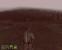 ArmA 2 (Armed Assault 2) - Screenshot (39)
