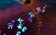 League of Legends (24)