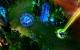 League of Legends (5)