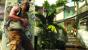 2k Games: Max Payne 3