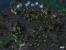 Screenshots aus Starcraft 2: Wings of Liberty. (2)