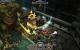 Screenshots aus Torchlight. (11)