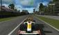 F1 2009 (Release: Voraussichtlich 2009; Plattform: Nintendo Wii, Playstation Portable; F1-Lizenz von 2009).