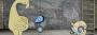 Full Pipe von Entwickler Pipe Studio