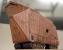 Sand crawler