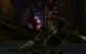 Screenshots aus Aion. (12)