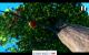 VLC Media Player (3)