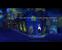 Screenshots zu Monkey Island: Special Edition (20)