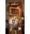 Der Frankenstein-Casemod im Steampunk-Look.