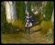 Platz 15: Sacred 2: Fallen Angel - 71,07 Prozent.