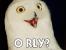 2003: O RLY?. Ob aussagen nun offensichtlich wahr oder offensichtlich falsch sind, ganz egal, die O RLY?-Eule ("oh, really?", zu Deutsch: "ach, tatsächlich?") passt immer. Der Ausspruch "O RLY?" stammt aus den SomethingAwful-Foren, das Eulen-Bild vom Naturphotographen John White. Auf 4chan.org fanden beide zusammen.