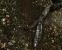 Screenshot zur Ultra-Quality-Config Reli 2 für Crysis. Weitere Bilder gibt´s in der Galerie.
