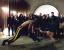 Fighting Bild (13)