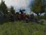 Platz 10: Mount & Blade - 73,54 Prozent.