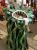 TGS 2009: Cosplay (9)